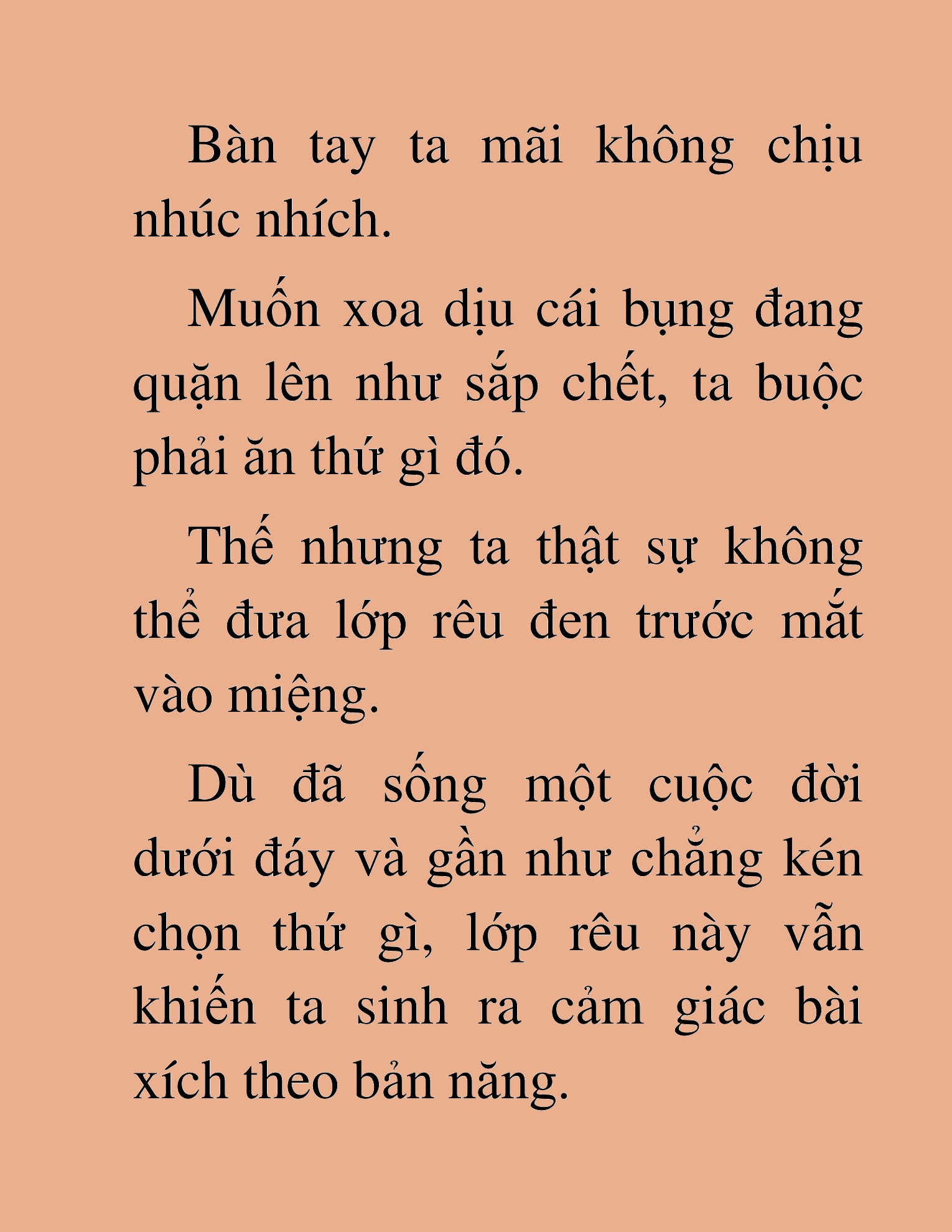 Đọc truyện HAT[NOVEL] Độc Giả Tử Thi - Chap 11