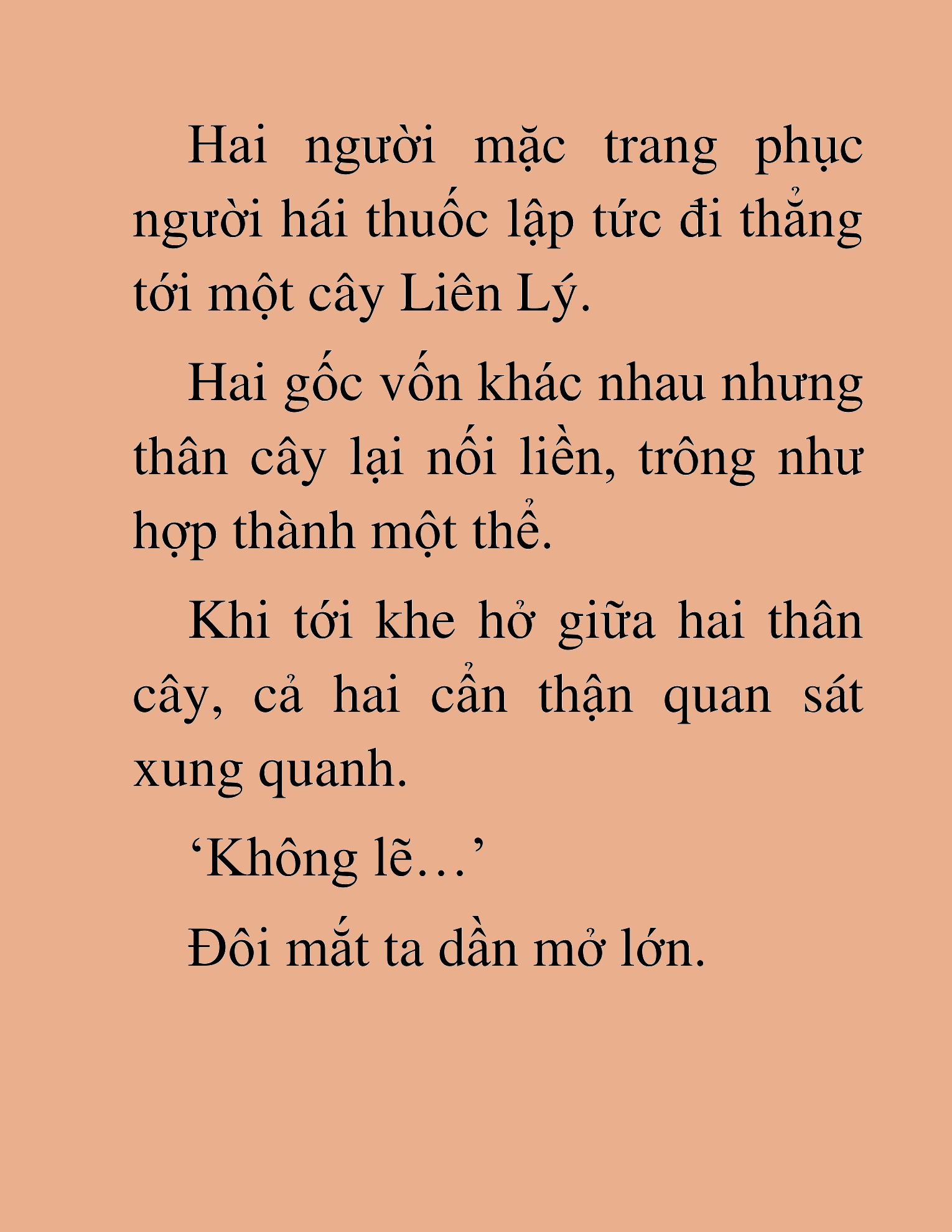 Đọc truyện HAT[NOVEL] Độc Giả Tử Thi - Chap 28