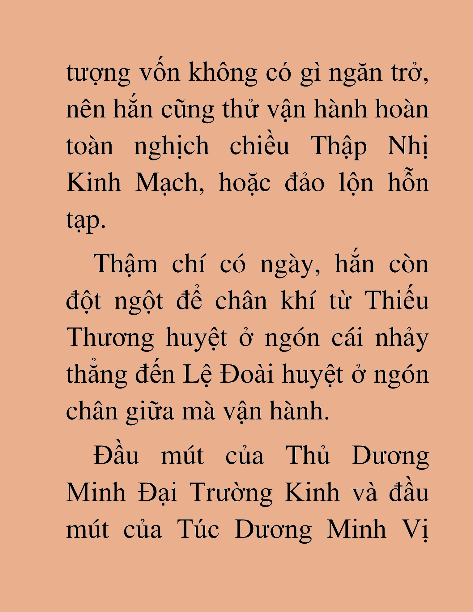 Đọc truyện HAT[novel] Võ Đang Chân Kinh - Chap 14