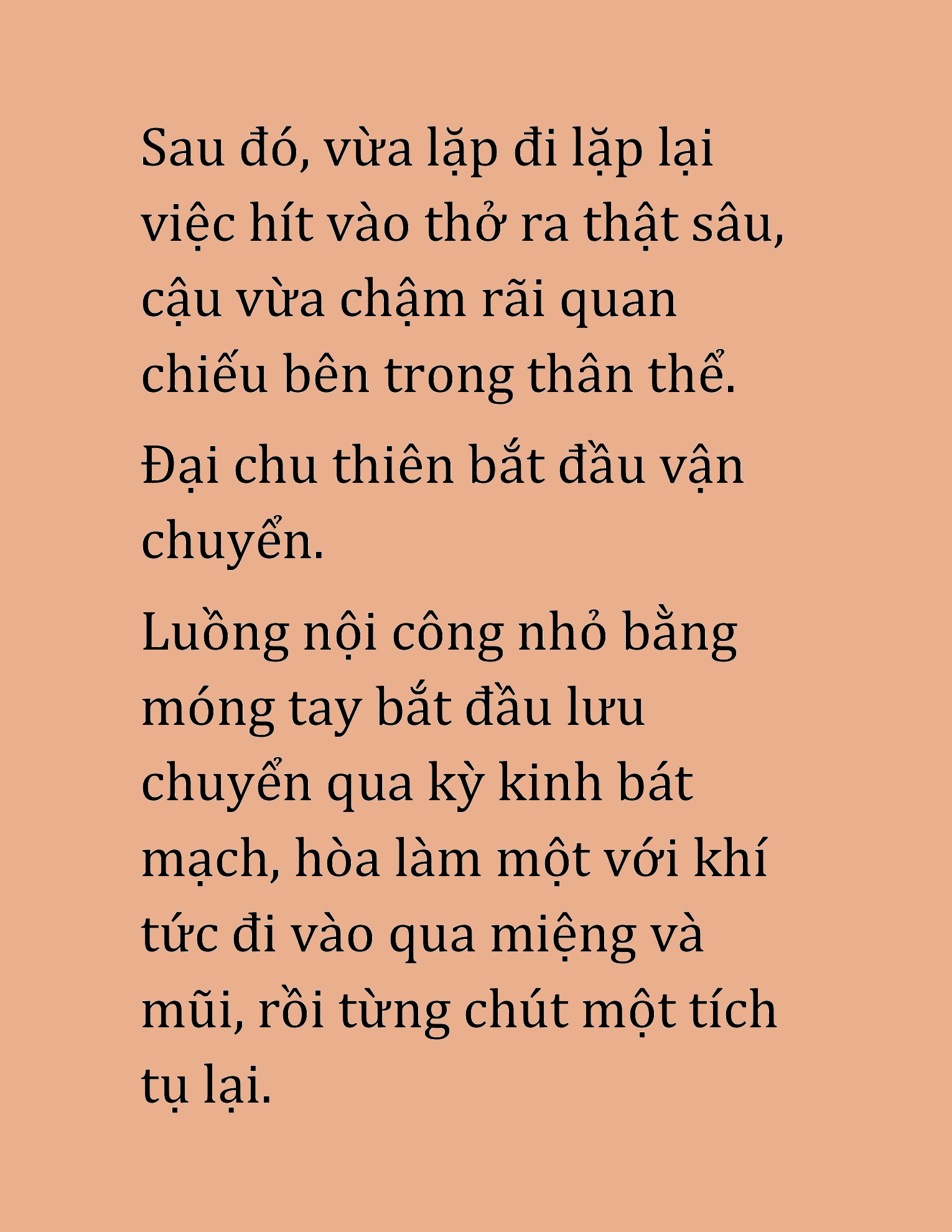 Đọc truyện HAT[NOVEL] Hoa Sơn Thiên Ma - Chap 10
