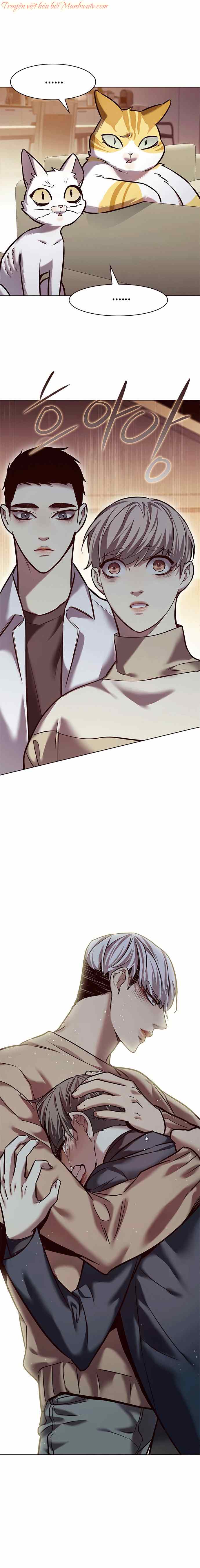 Đọc truyện Hóa thân thành mèo (Bản Free) - Chap 226