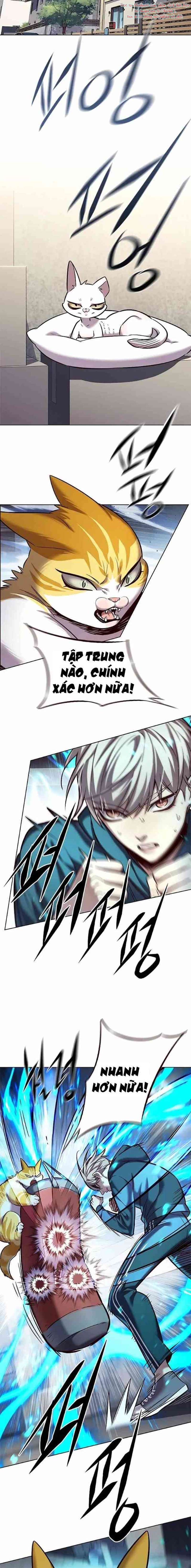 Đọc truyện Hóa thân thành mèo (Bản Free) - Chap 241