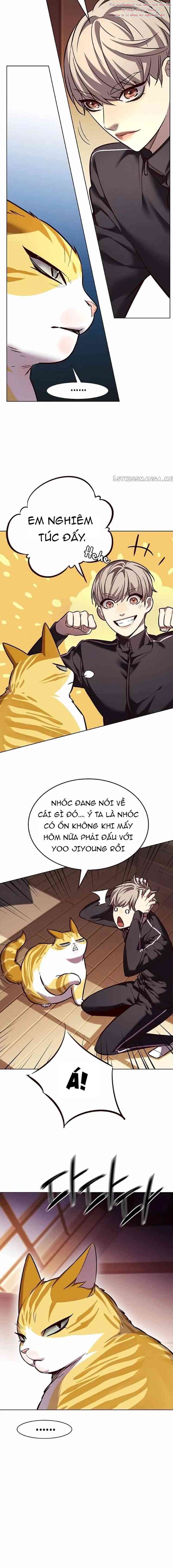 Đọc truyện Hóa thân thành mèo (Bản Free) - Chap 242