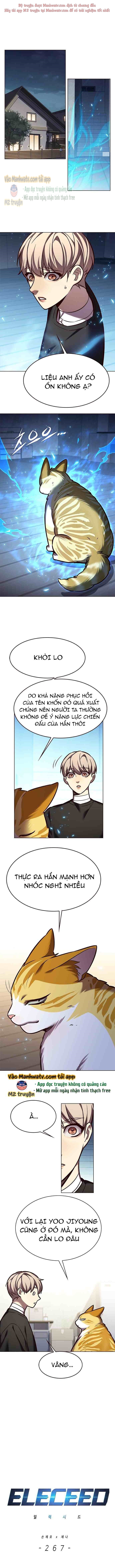 Đọc truyện Hóa thân thành mèo (Bản Free) - Chap 267