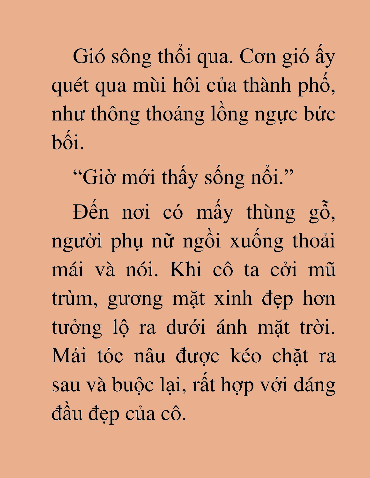 Đọc truyện HAT[NOVEL] Khúc Ca Của Dũng Giả - Chap 22
