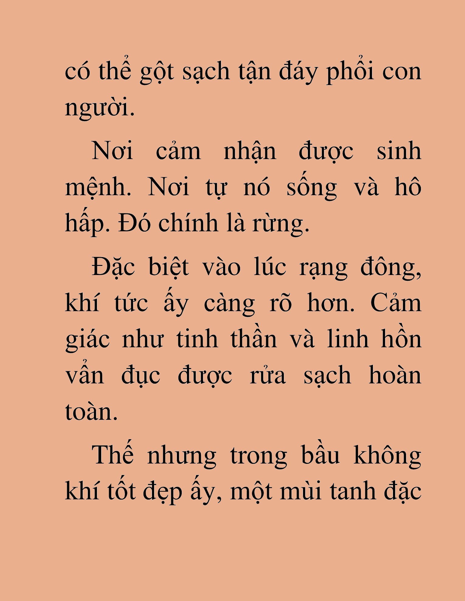 Đọc truyện HAT[NOVEL] Khúc Ca Của Dũng Giả - Chap 49