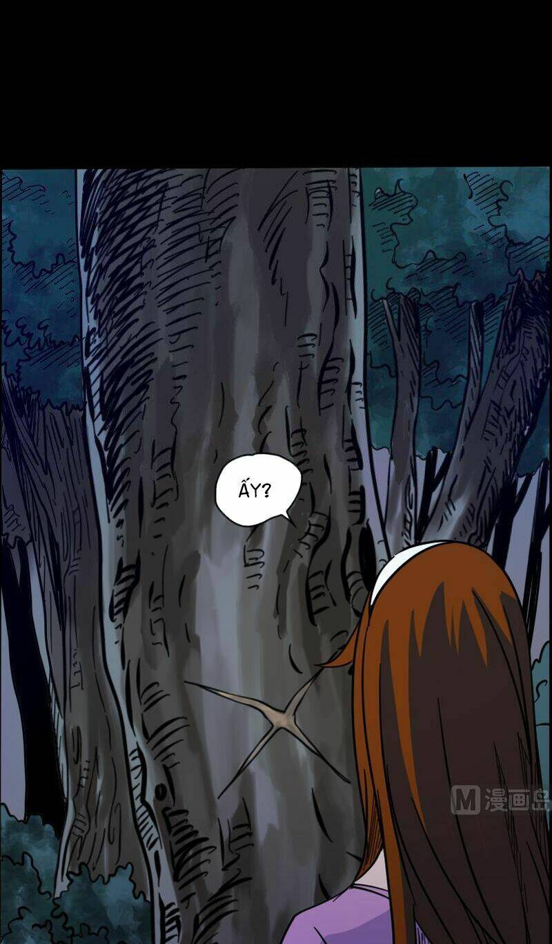 Đọc truyện Kiếp thiên vận - Chap 16