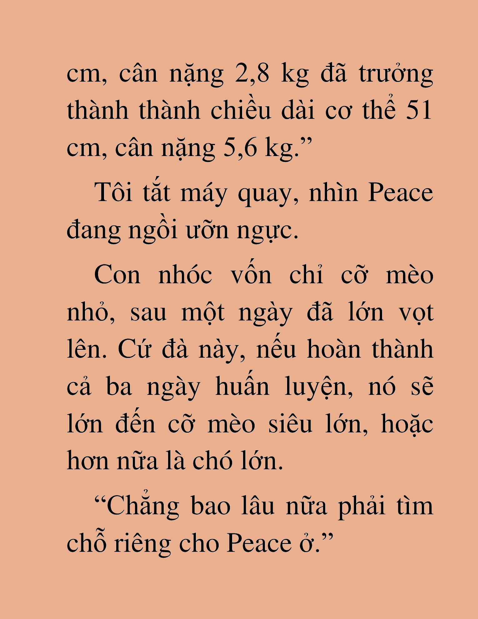 Đọc truyện HAT[NOVEL] Những Thợ Săn Cấp S Mà Tôi Nuôi Dưỡng - Chap 75