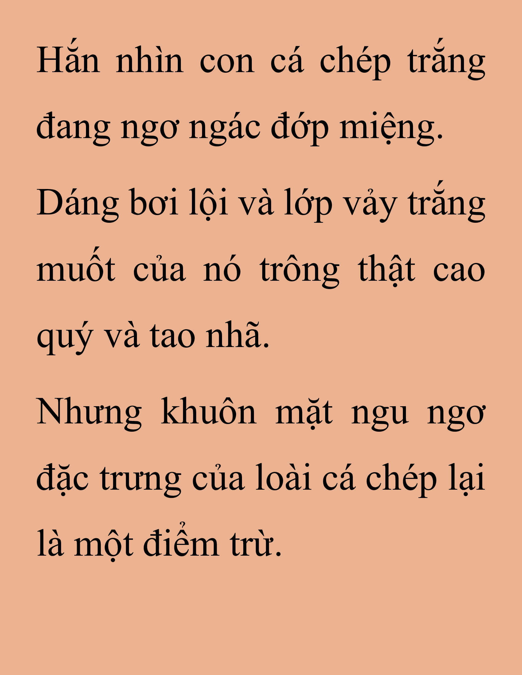 Đọc truyện SNVT[NOVEL] Thanh Mai Trúc Mã Của Đệ Nhất Thiên Hạ - Chương 201: Mảnh Vỡ