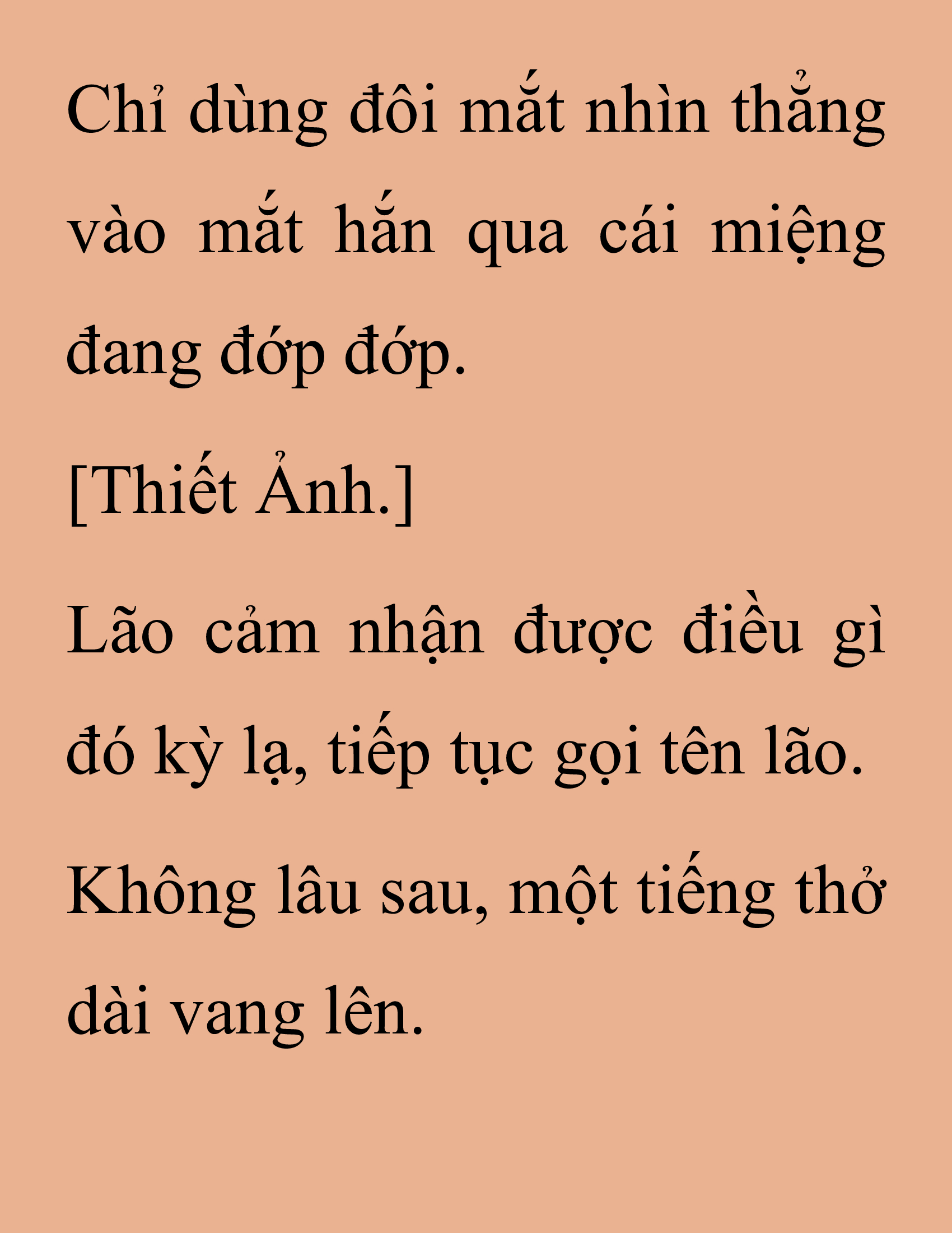 Đọc truyện SNVT[NOVEL] Thanh Mai Trúc Mã Của Đệ Nhất Thiên Hạ - Chương 202: Mảnh Vỡ