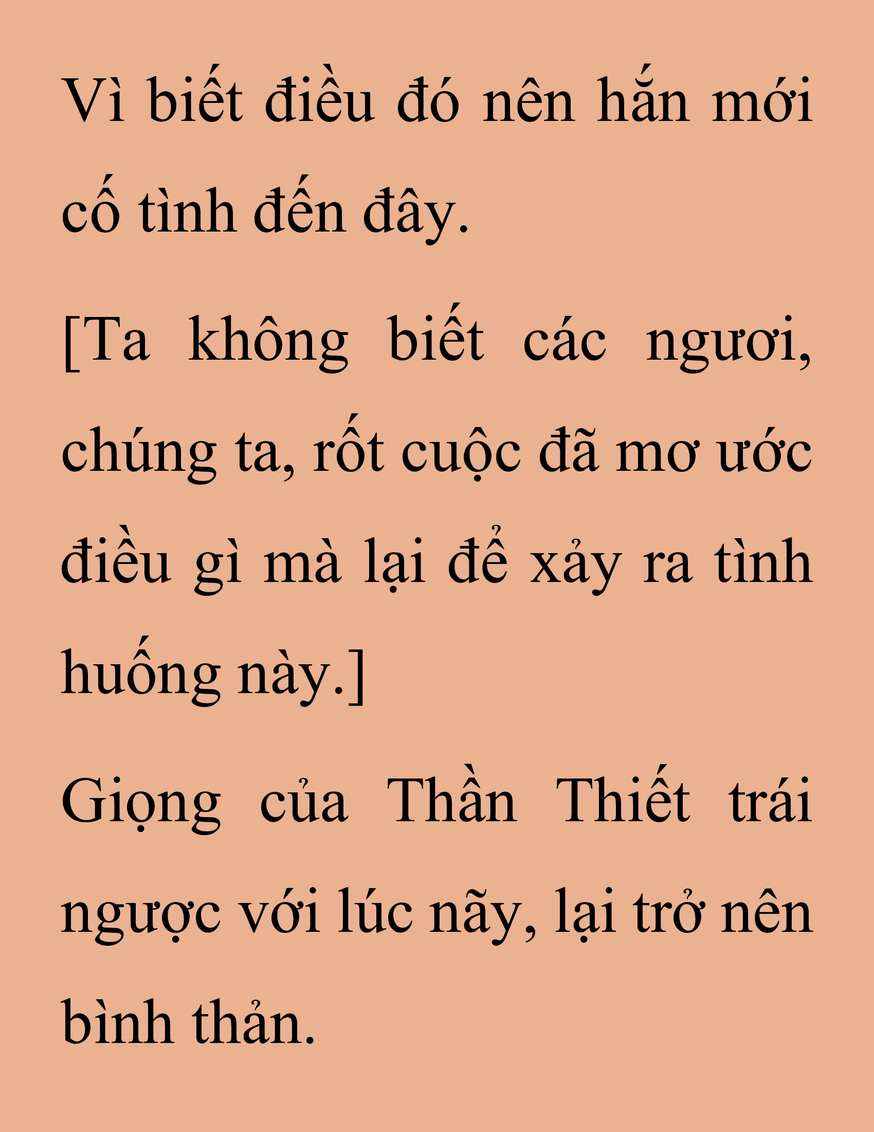 Đọc truyện SNVT[NOVEL] Thanh Mai Trúc Mã Của Đệ Nhất Thiên Hạ - Chương 205: Mảnh Vỡ