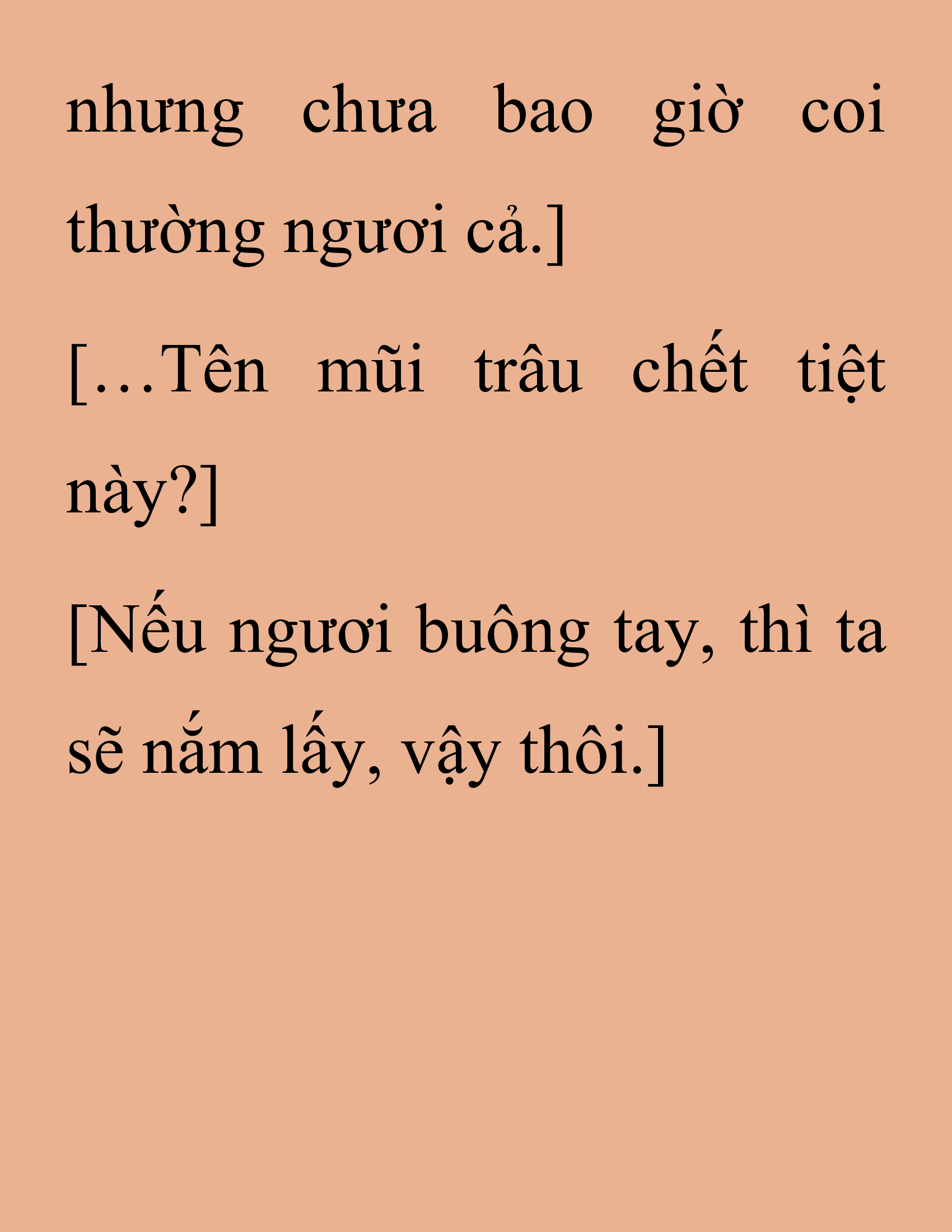 Đọc truyện SNVT[NOVEL] Thanh Mai Trúc Mã Của Đệ Nhất Thiên Hạ - Chương 205: Mảnh Vỡ