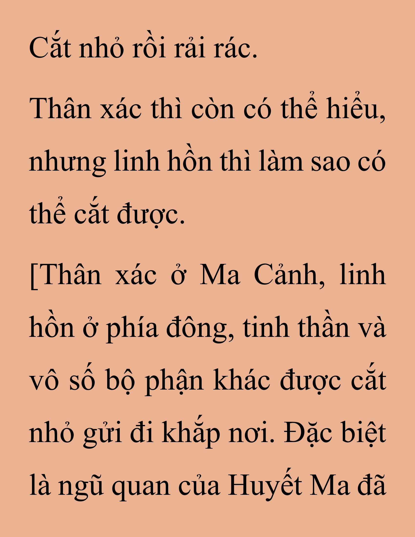 Đọc truyện SNVT[NOVEL] Thanh Mai Trúc Mã Của Đệ Nhất Thiên Hạ - Chương 206: Mảnh Vỡ