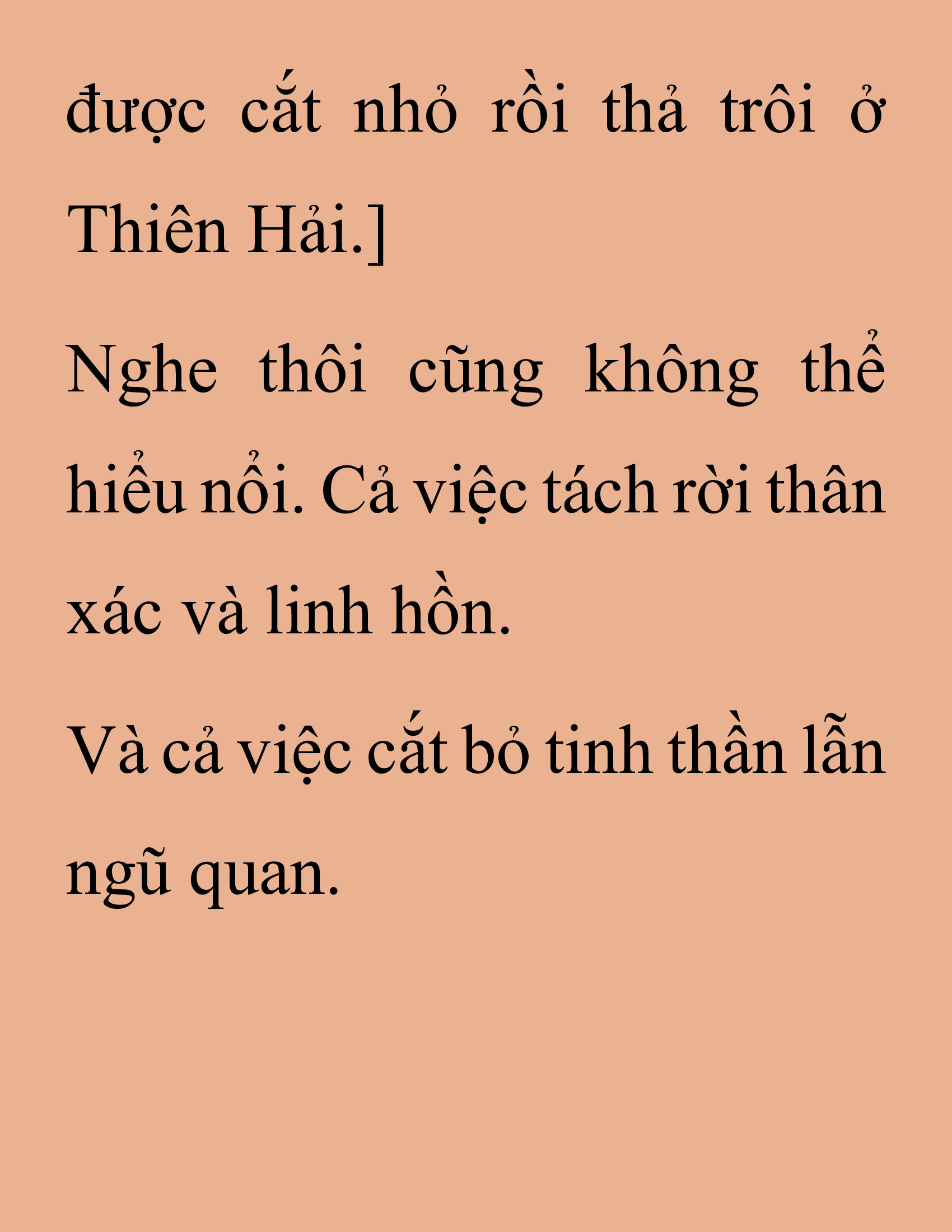 Đọc truyện SNVT[NOVEL] Thanh Mai Trúc Mã Của Đệ Nhất Thiên Hạ - Chương 206: Mảnh Vỡ