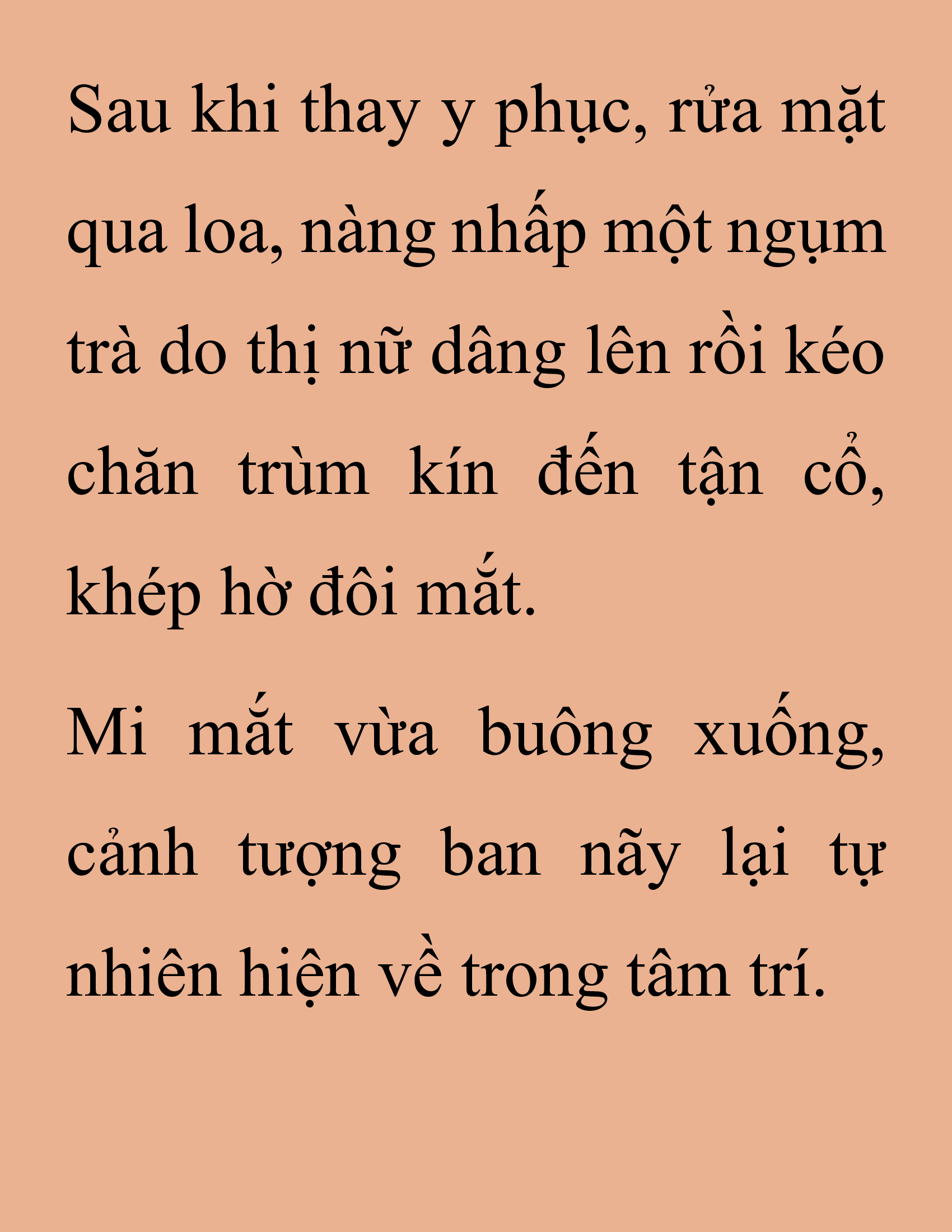 Đọc truyện SNVT[NOVEL] Thanh Mai Trúc Mã Của Đệ Nhất Thiên Hạ - Chương 211: Mùa Đông Không Lạnh