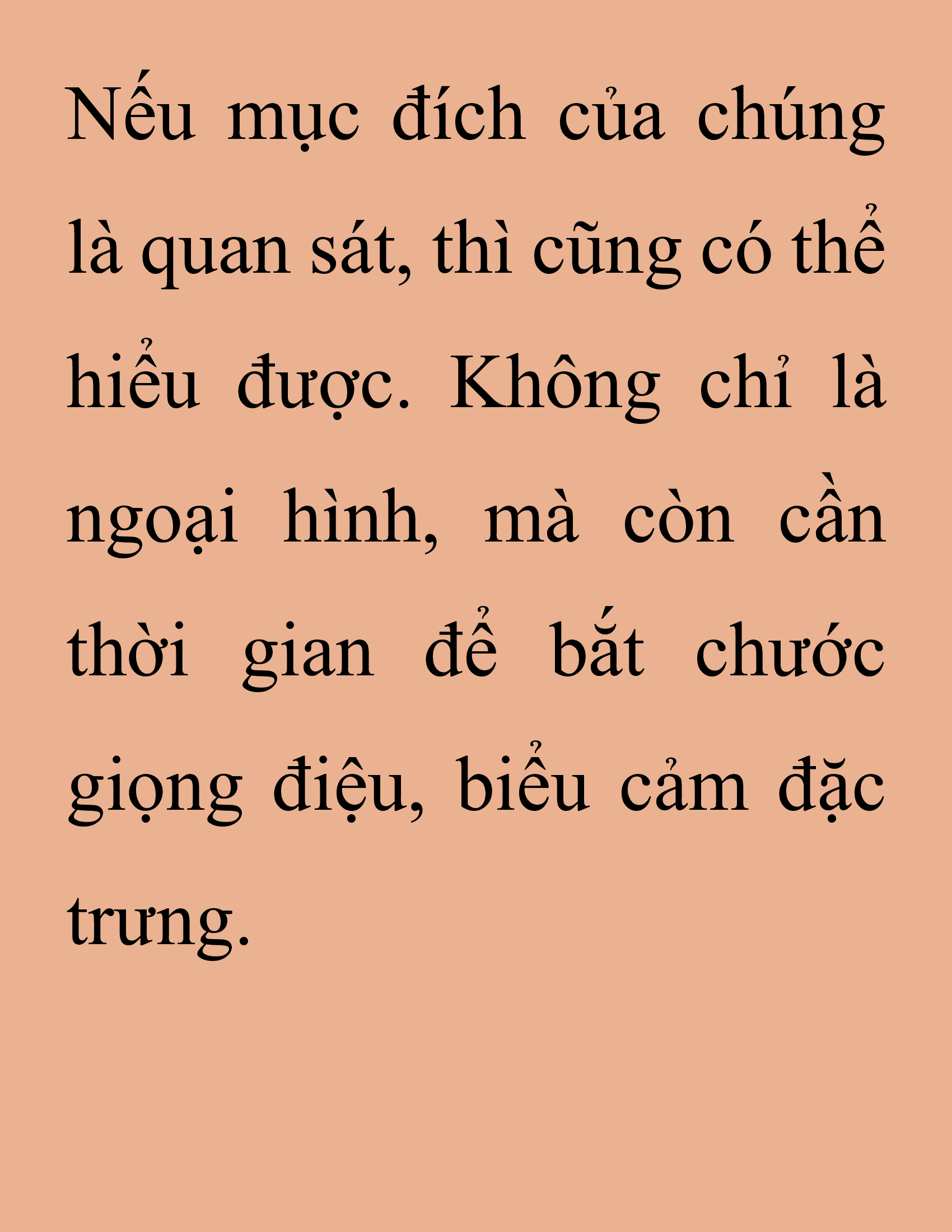 Đọc truyện SNVT[NOVEL] Thanh Mai Trúc Mã Của Đệ Nhất Thiên Hạ - Chương 231: Trò Vô Bổ