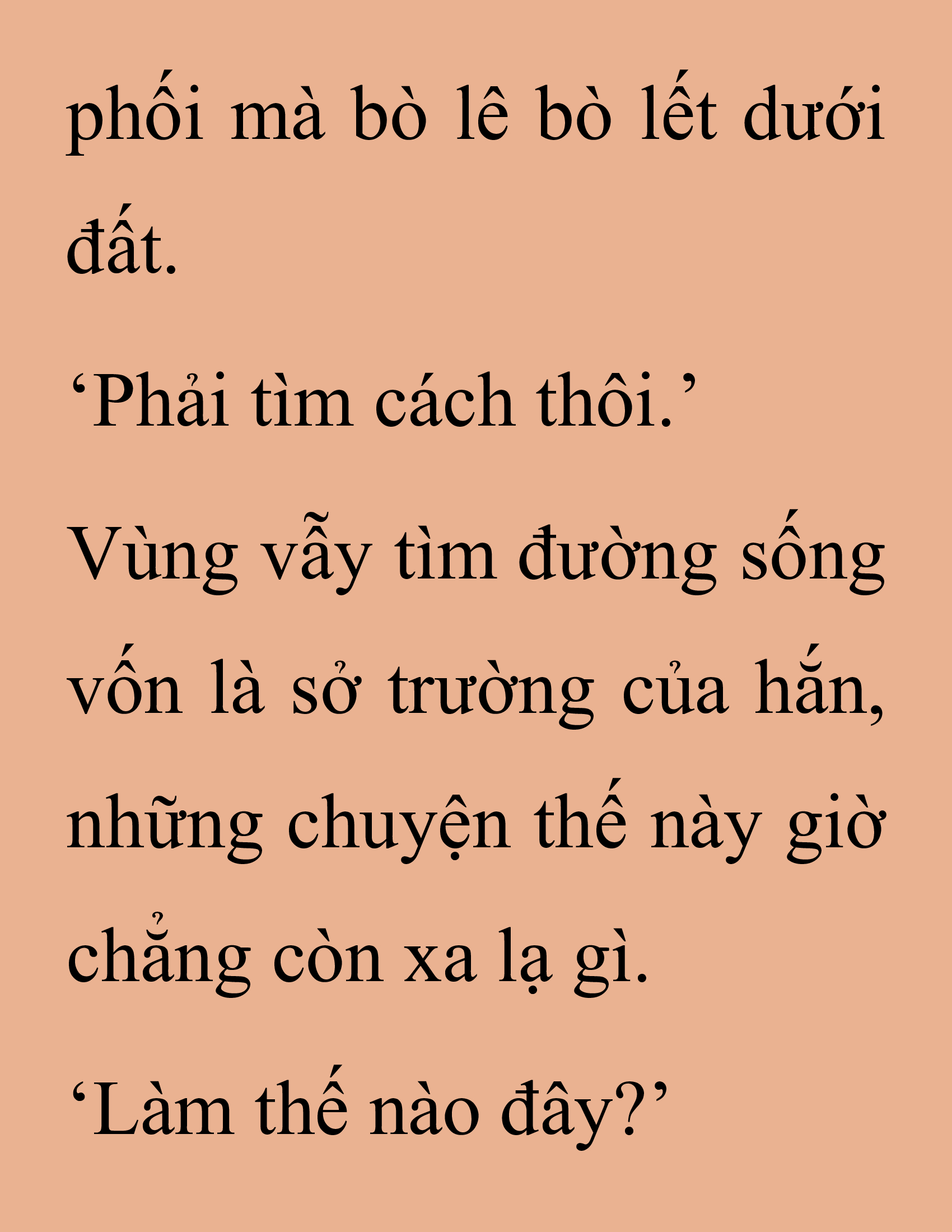Đọc truyện SNVT[NOVEL] Thanh Mai Trúc Mã Của Đệ Nhất Thiên Hạ - Chương 254: Vu Đông Sơn Mạch