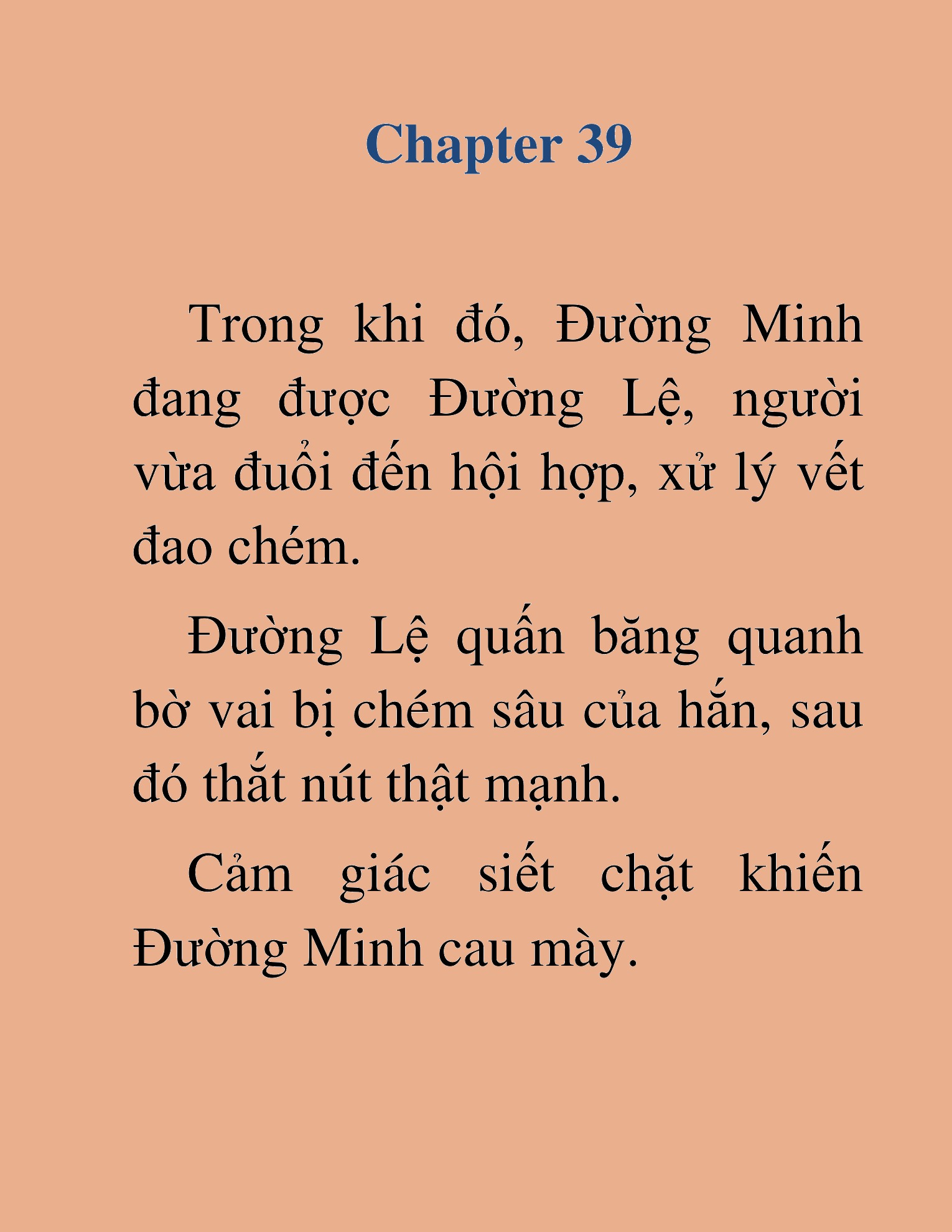 Đọc truyện HAT[NOVEL] Thiên Hạ Đường Môn - Chap 39