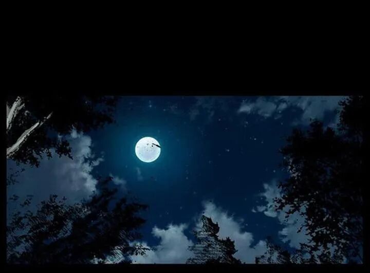 Đọc truyện U Minh Ngụy Tượng - Chap 169