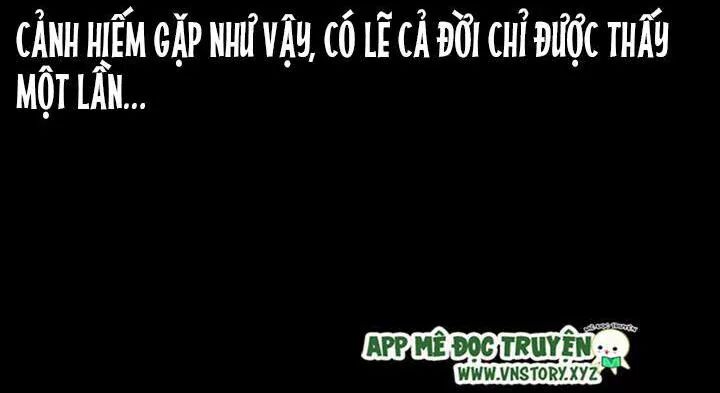 Đọc truyện U Minh Ngụy Tượng - Chap 207