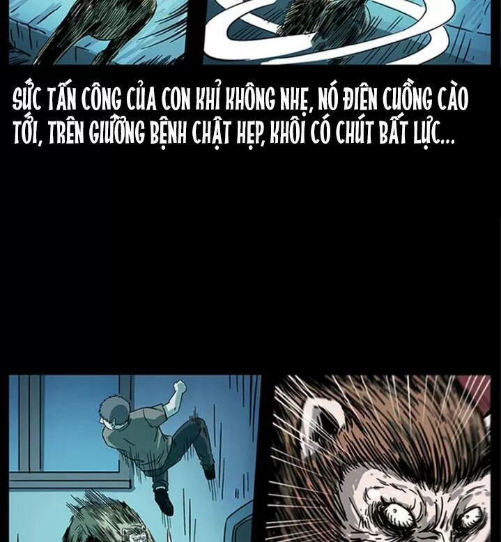 Đọc truyện U Minh Ngụy Tượng - Chap 231