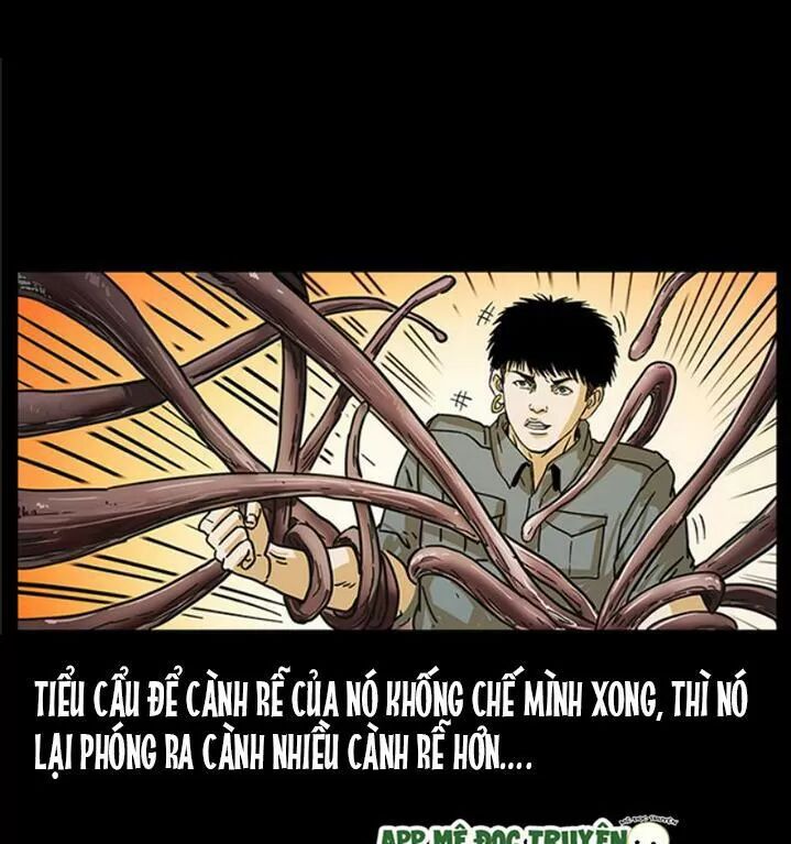 Đọc truyện U Minh Ngụy Tượng - Chap 239