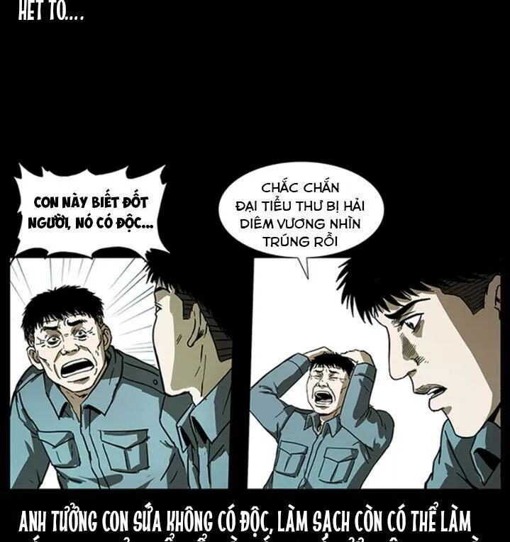 Đọc truyện U Minh Ngụy Tượng - Chap 243