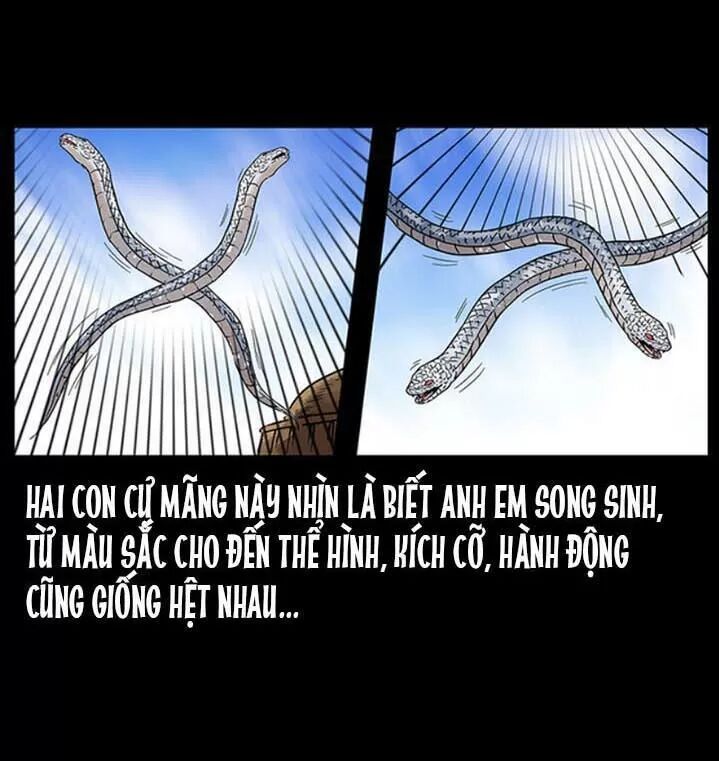 Đọc truyện U Minh Ngụy Tượng - Chap 286