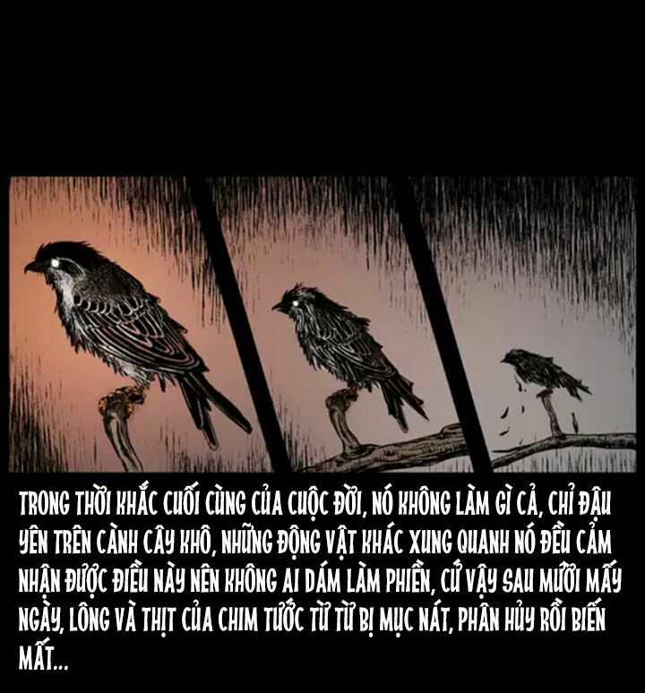 Đọc truyện U Minh Ngụy Tượng - Chap 38