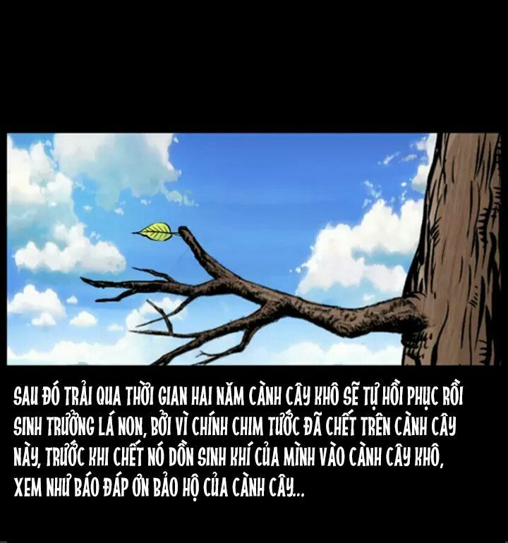 Đọc truyện U Minh Ngụy Tượng - Chap 38