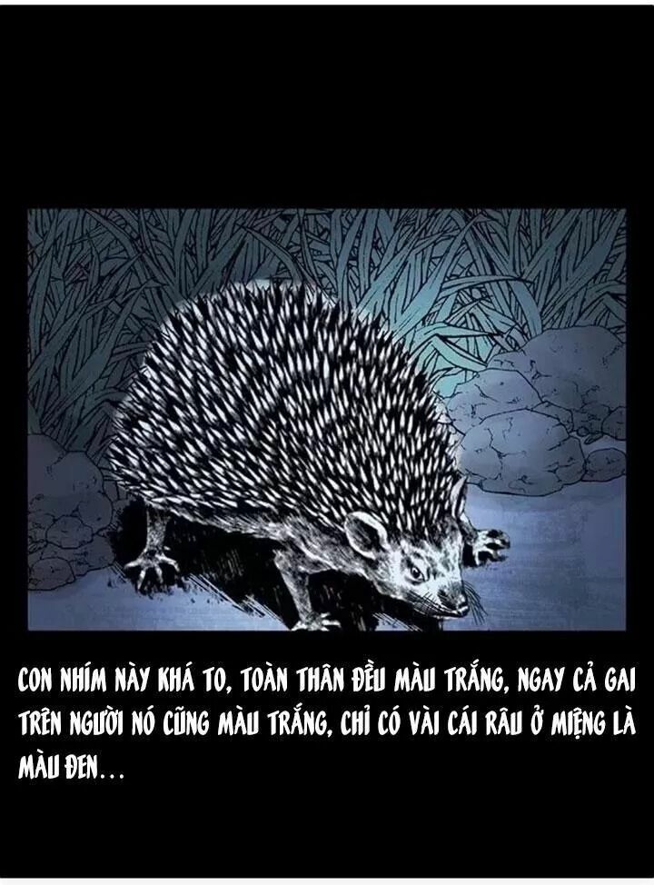 Đọc truyện U Minh Ngụy Tượng - Chap 79