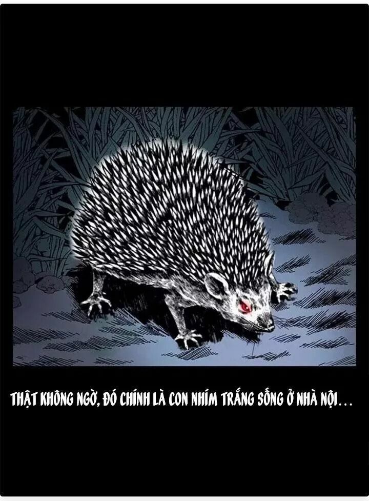 Đọc truyện U Minh Ngụy Tượng - Chap 79