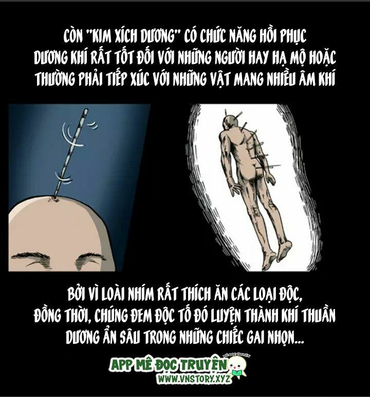 Đọc truyện U Minh Ngụy Tượng - Chap 9