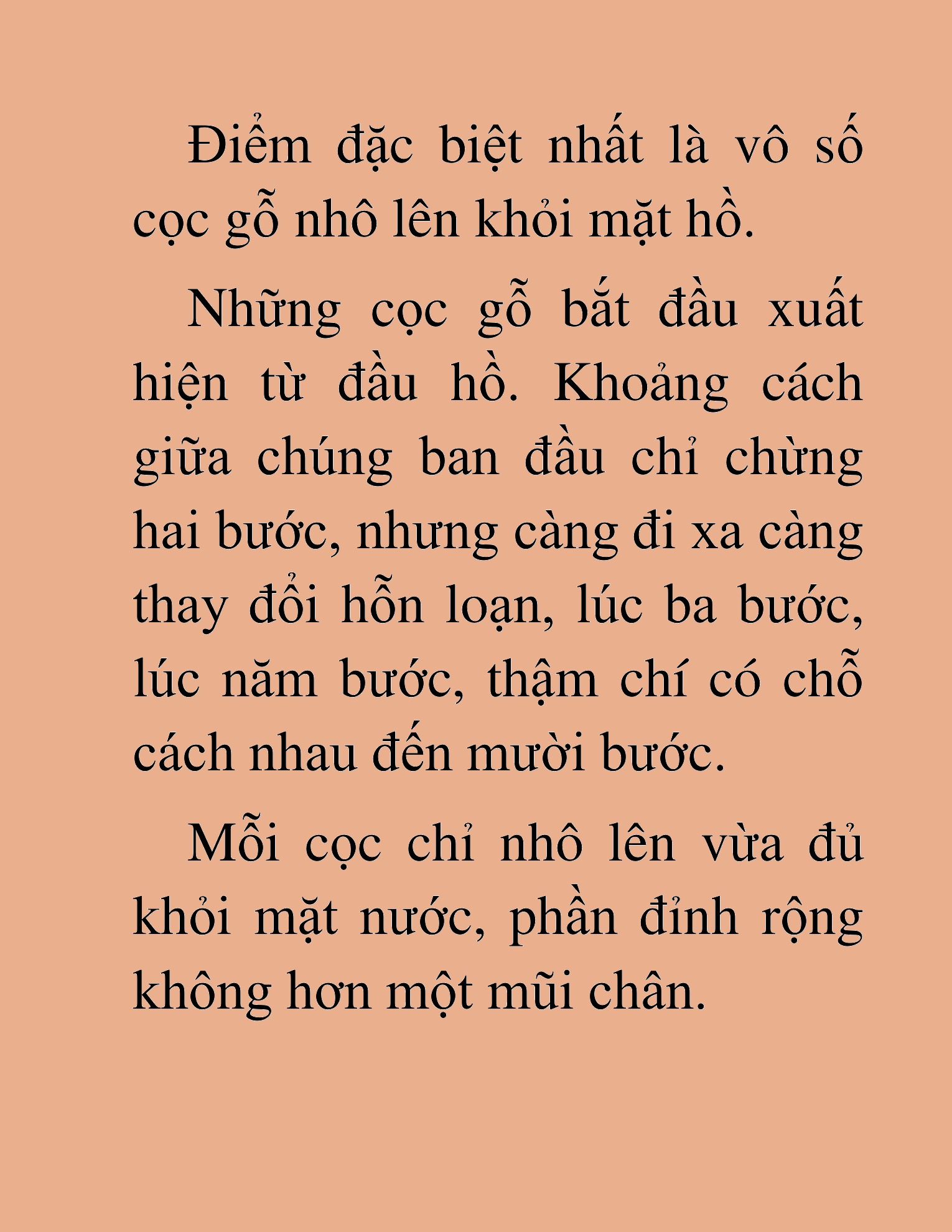 Đọc truyện HAT[NOVEL] Võ Vô Vô Địch - Chap 39