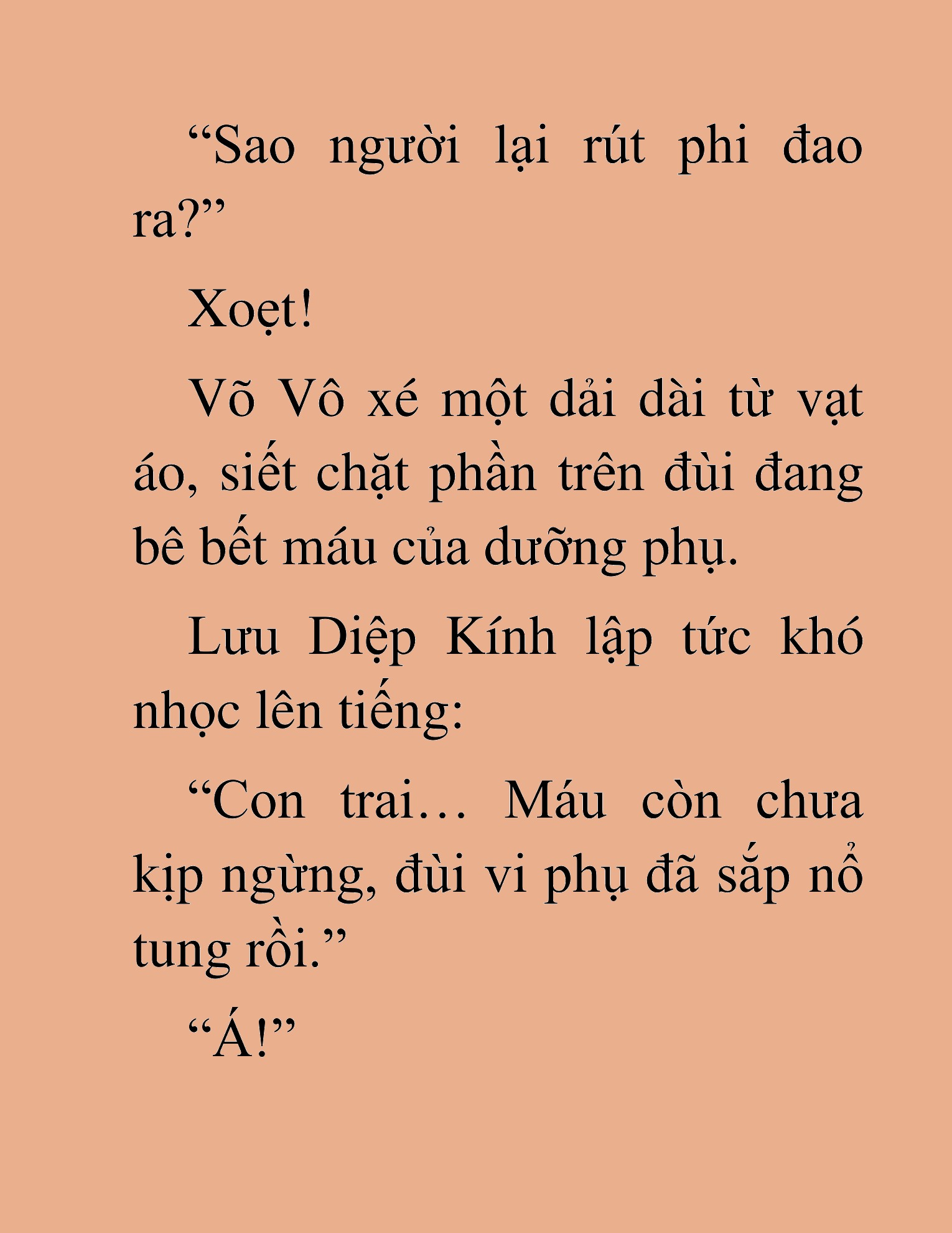 Đọc truyện HAT[NOVEL] Võ Vô Vô Địch - Chap 8
