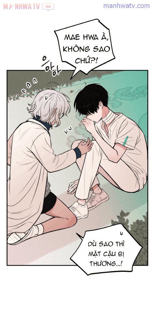 Đọc truyện Máu và Hồ điệp - Chap 5