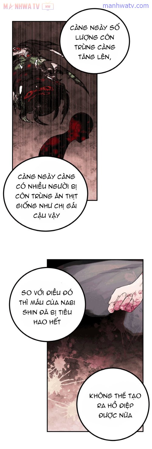 Đọc truyện Máu và Hồ điệp - Chap 5