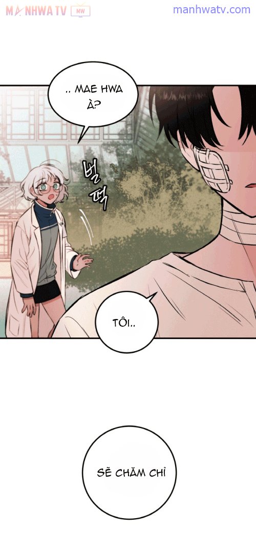 Đọc truyện Máu và Hồ điệp - Chap 5