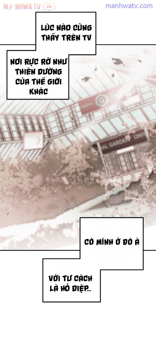 Đọc truyện Máu và Hồ điệp - Chap 5