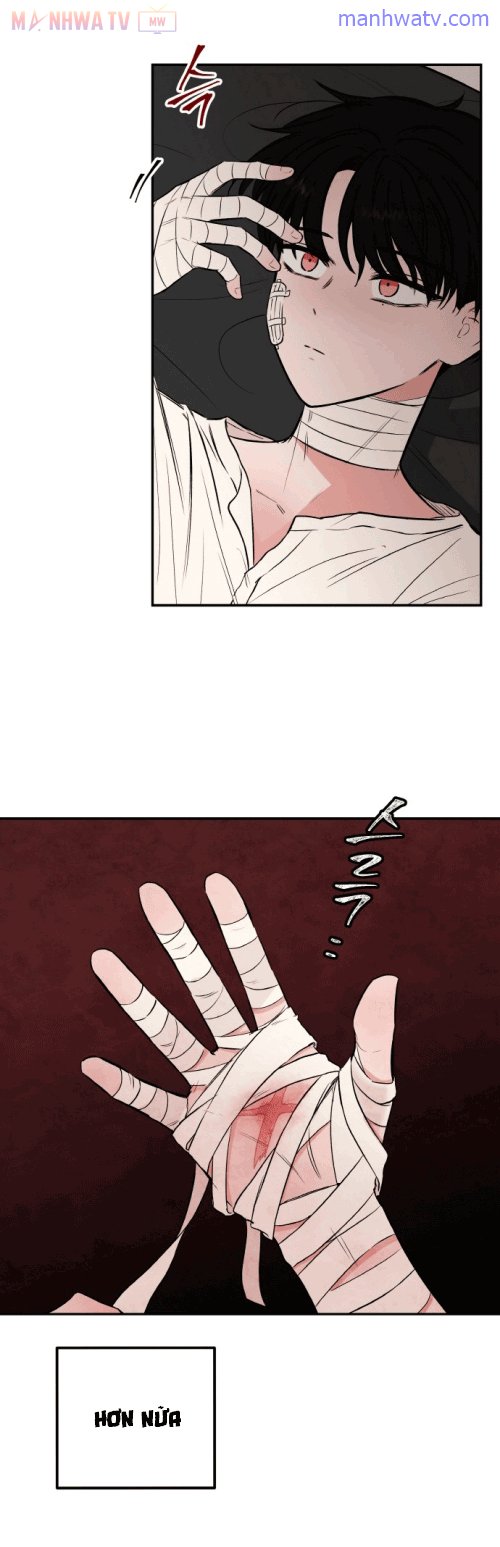 Đọc truyện Máu và Hồ điệp - Chap 5