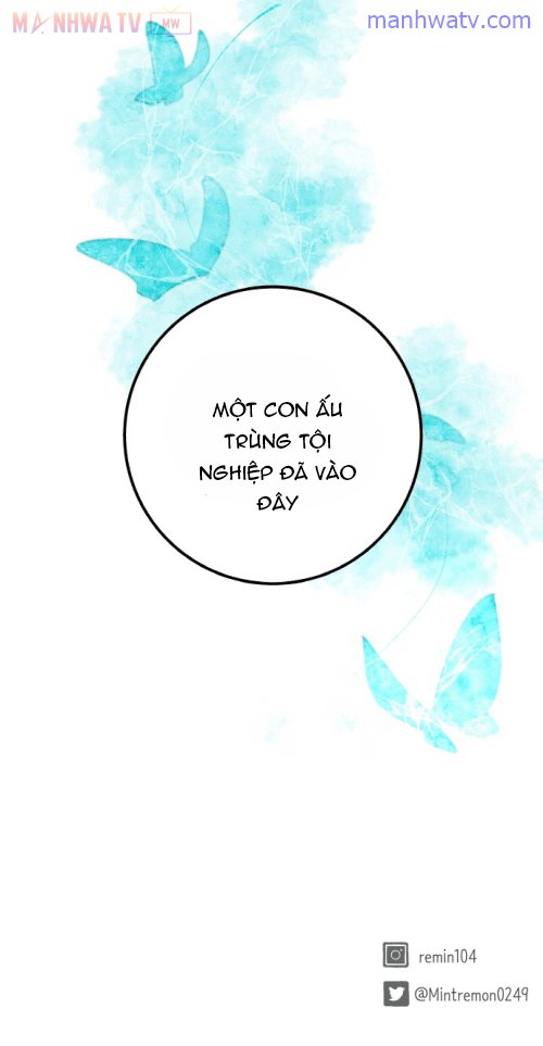 Đọc truyện Máu và Hồ điệp - Chap 5