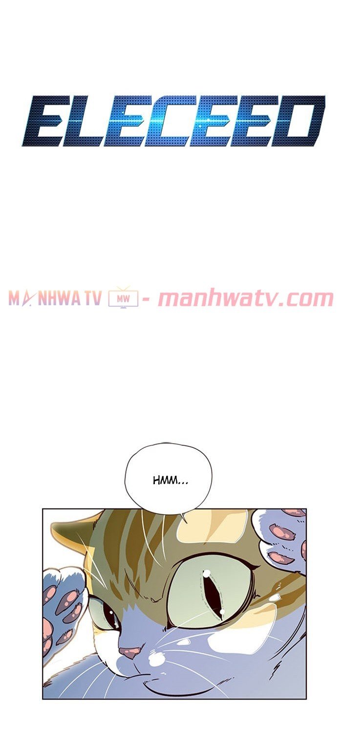 Đọc truyện Hoá thân thành mèo - Chap 13