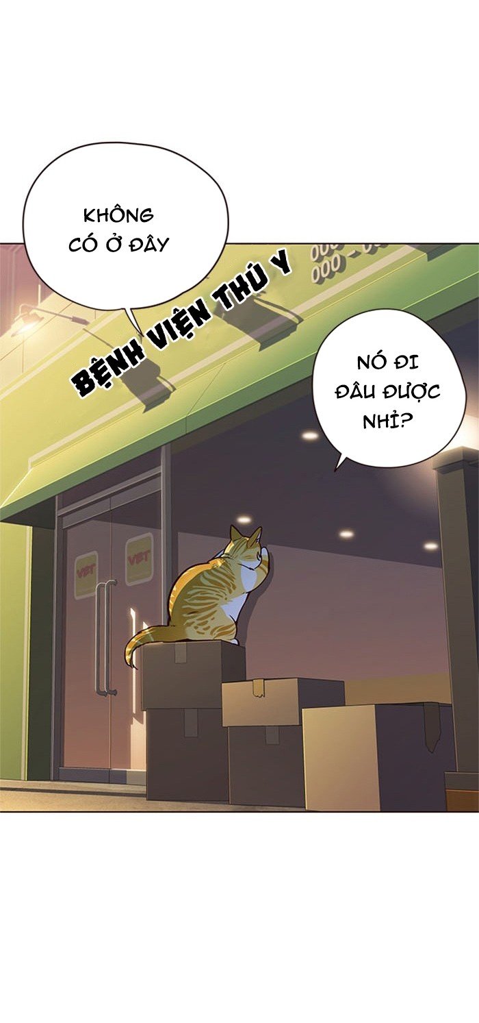 Đọc truyện Hoá thân thành mèo - Chap 13
