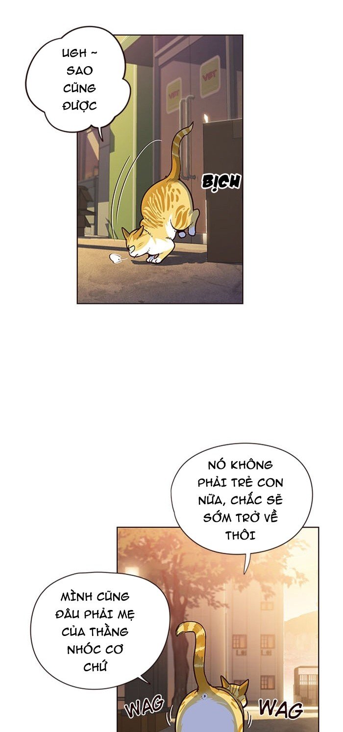 Đọc truyện Hoá thân thành mèo - Chap 13