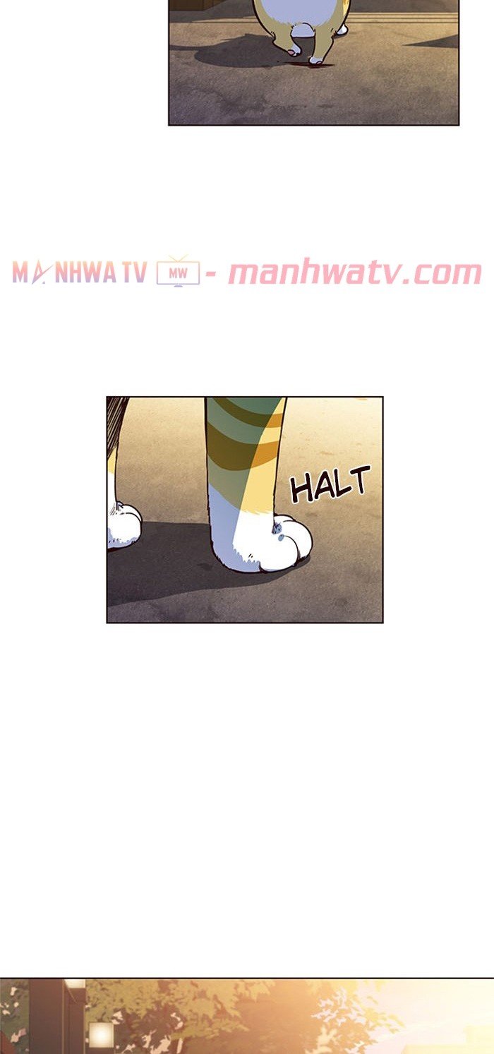 Đọc truyện Hoá thân thành mèo - Chap 13