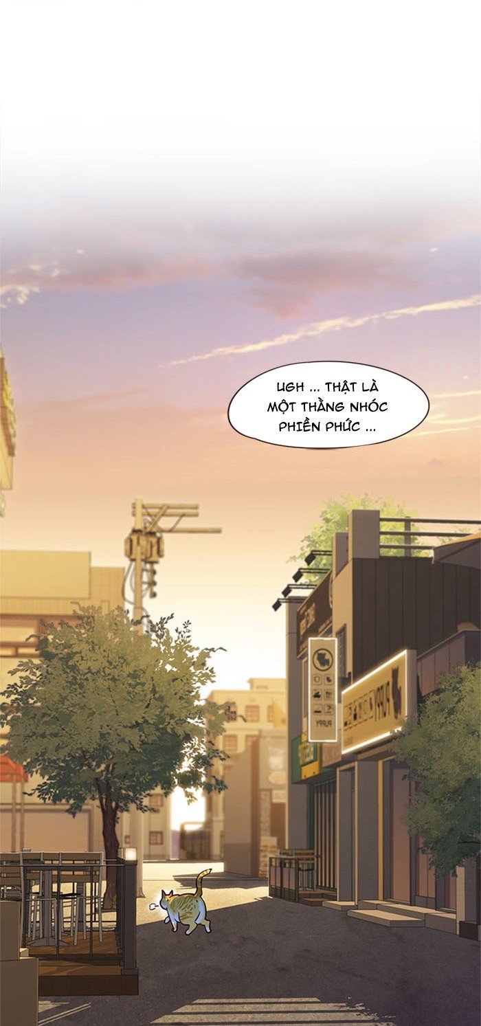 Đọc truyện Hoá thân thành mèo - Chap 13