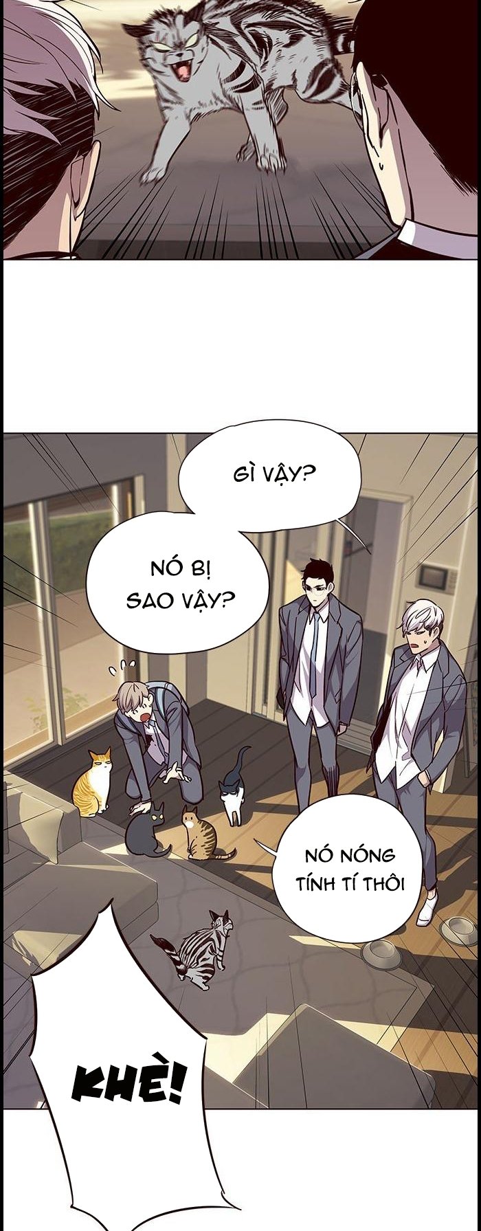 Đọc truyện Hoá thân thành mèo - Chap 38