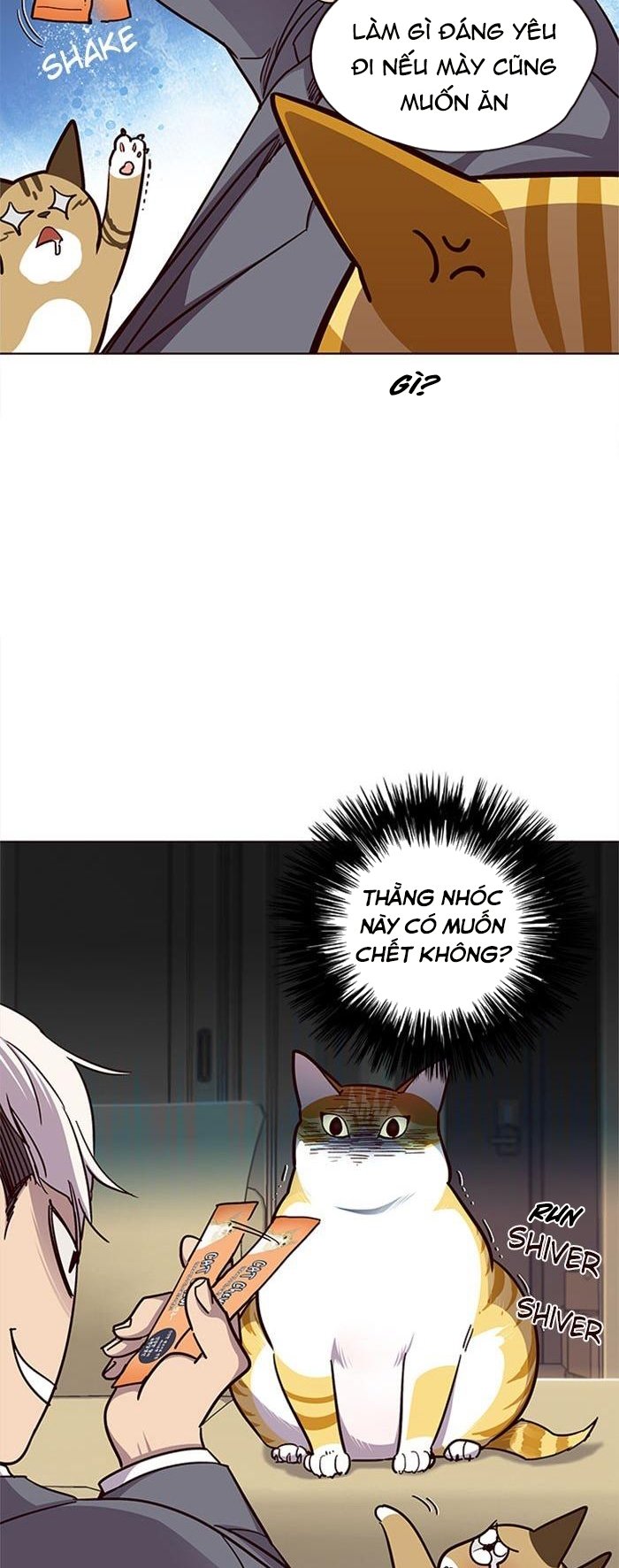 Đọc truyện Hoá thân thành mèo - Chap 38