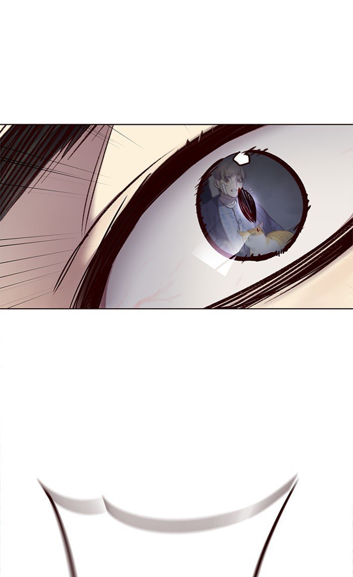 Đọc truyện Hoá thân thành mèo - Chap 32