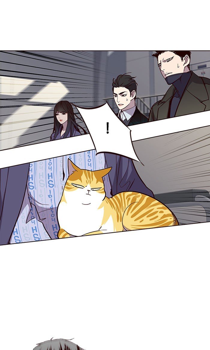 Đọc truyện Hoá thân thành mèo - Chap 32